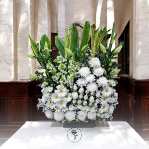 Pie de Caja Funebre Luz Divina